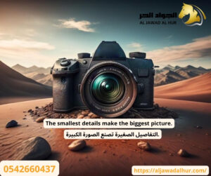 شركة تصوير فنادق بجدة